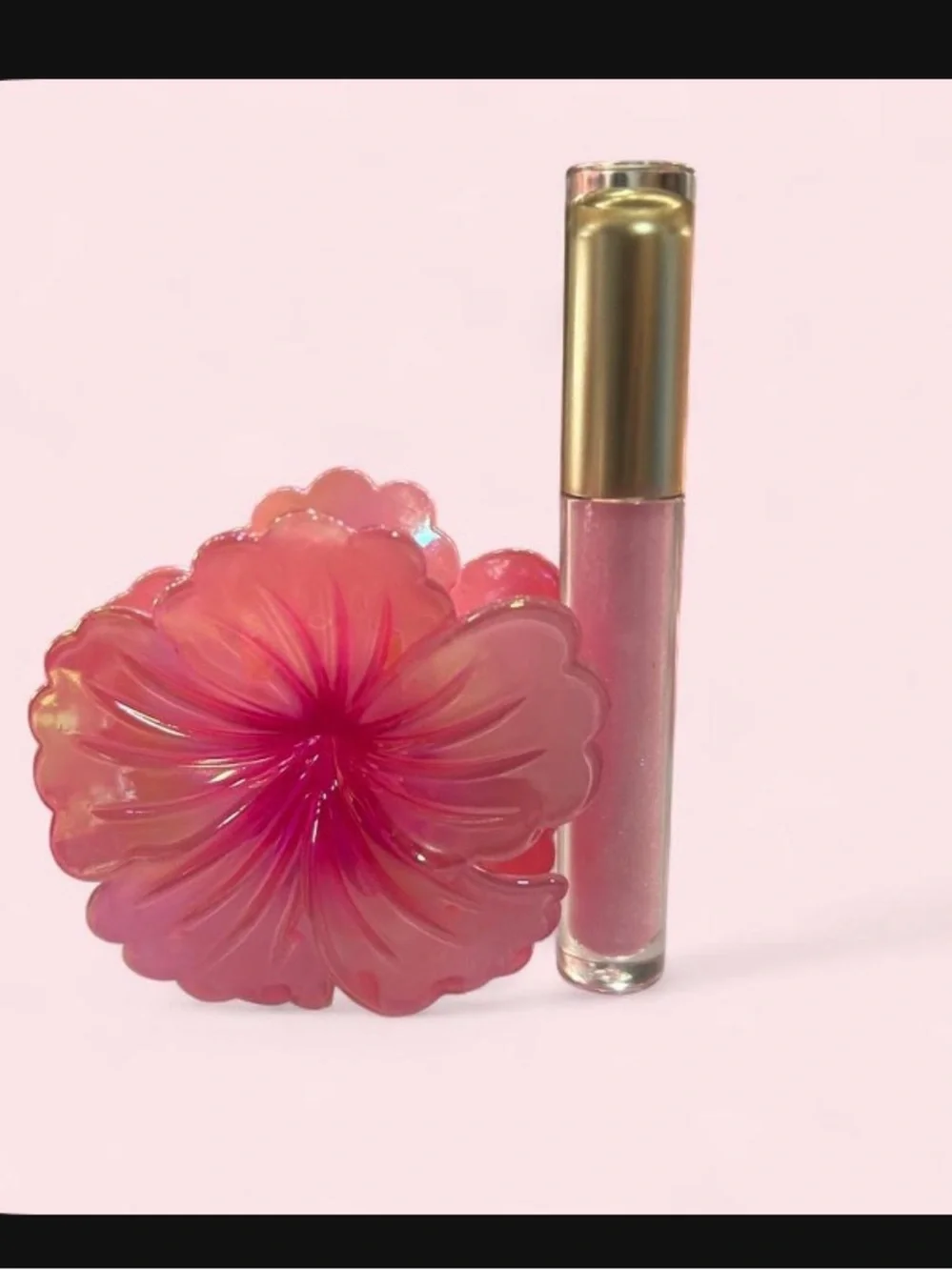 Pink Shimmer Lip Gloss with Floral Compact